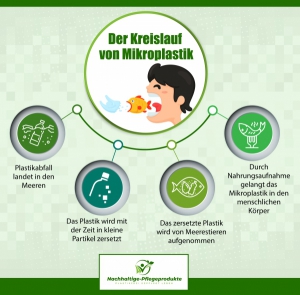 Kreislauf Mikroplastik